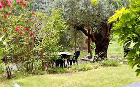 Villa Pelau - Holiday Home